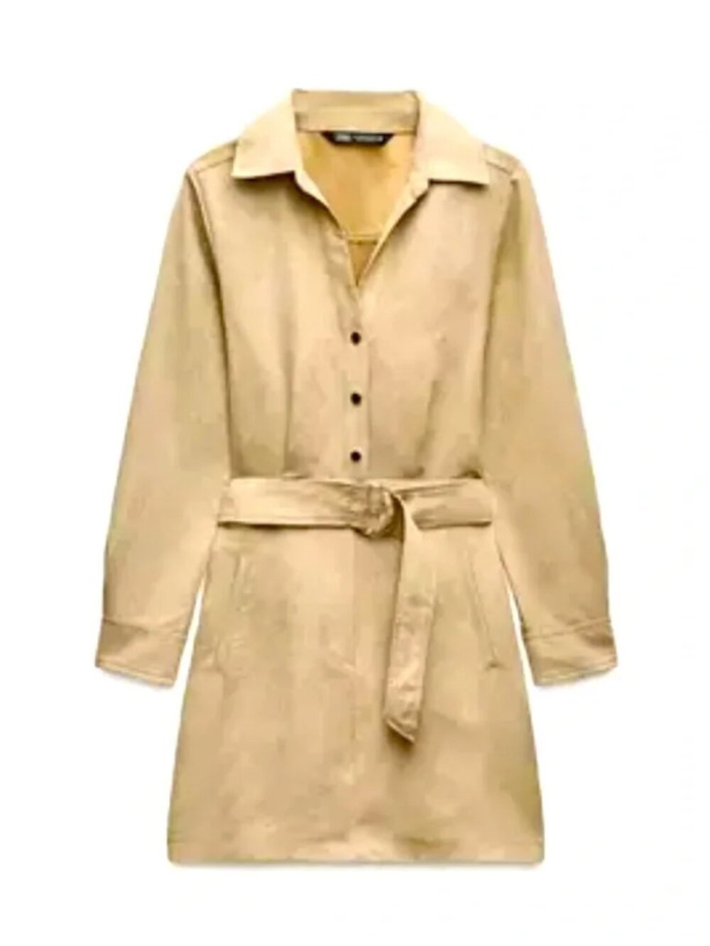 Zara Suede Dress